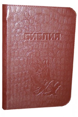 Библия. Артикул СП 209